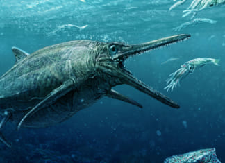 Sinh vật nghi quái vật hồ Loch Ness truyền thuyết lọt camera