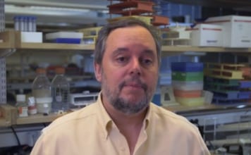 Một nhà khoa học Harvard vừa nhận được giải thưởng 3 triệu USD vì khám phá ra “trí tuệ của tế bào”